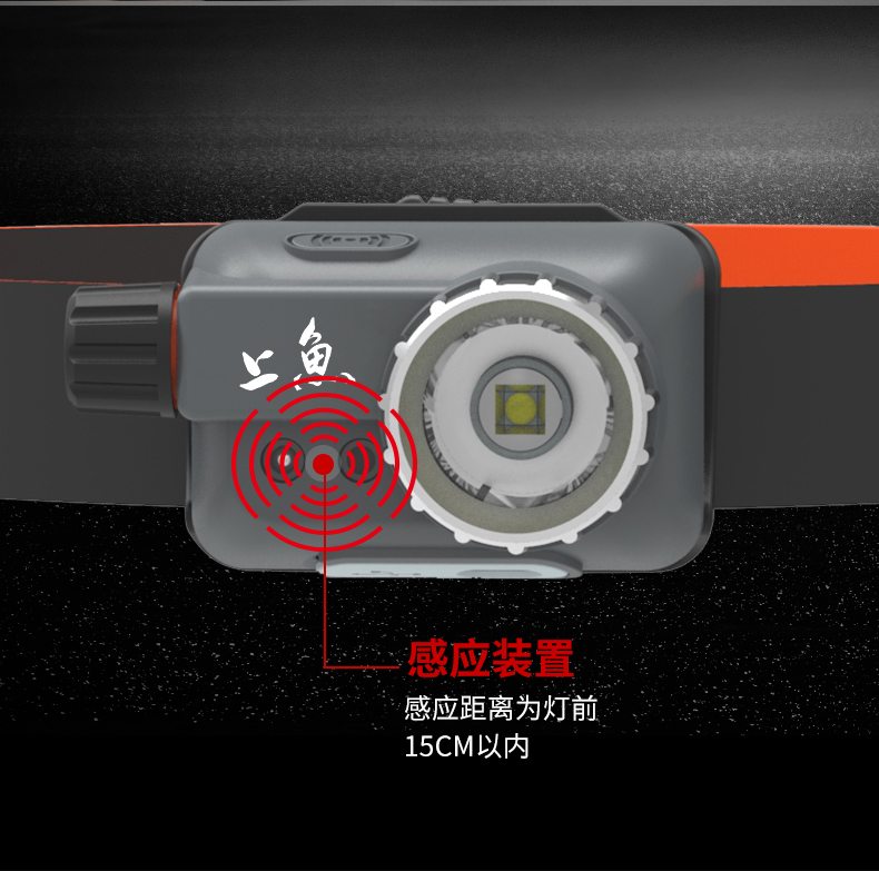 上鱼_05.jpg
